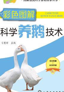 层错物语