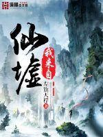 宠妻之残魂