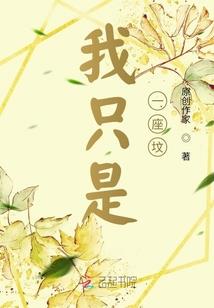 守护战记：奇迹曙光