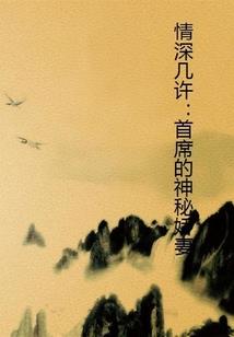 爱上总裁大大