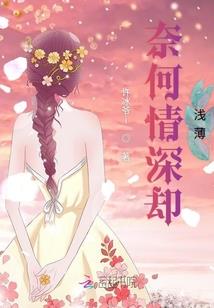 选择太多了