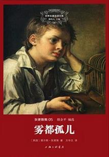 穿越网王世界之遇到王子