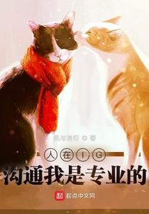 柯南之救赎之翼