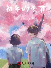 小狐宠师