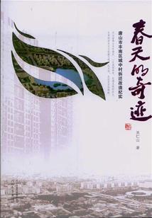 半隐之城