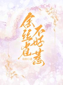 窗外的香樟树