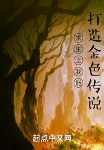 临渊纷争录