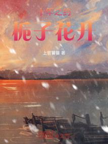 穿越者周记