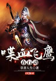 探索大道之上