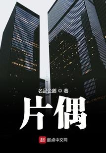 谜丛