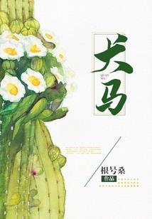 我的青春没有遗憾