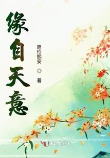 重生石榴花开