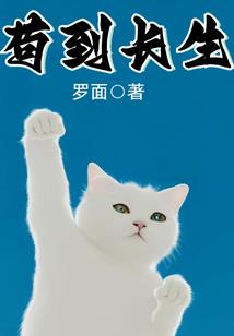 梦洒银河