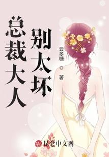 猫咪情缘