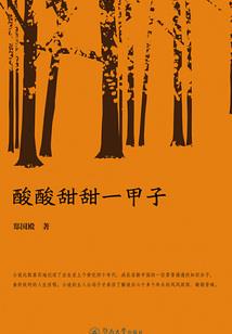 红尘往事传