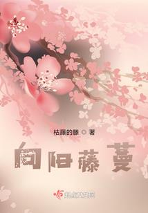 星空下的眼水