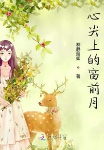 龙降大陆
