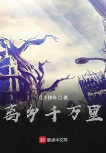 神探七组