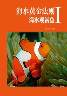 傲动天穹