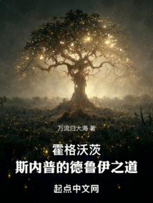 梦战守候者