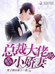 叶脉奇阁