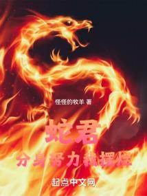 穿越火线之传奇人生