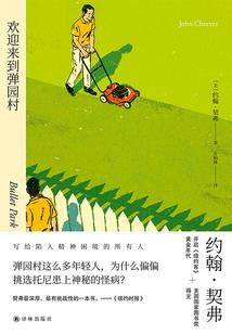 我在影视剧里当飞行员