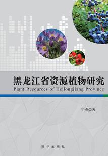 豪门少爷爱上平凡丫头