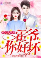紫禁星