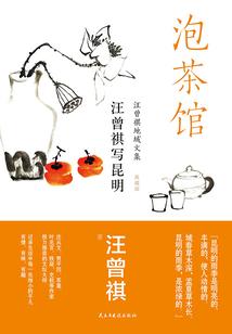素手倾城