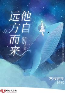 不灭之异样人生