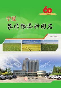 元素大使