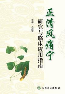 查理九世之折翼天使