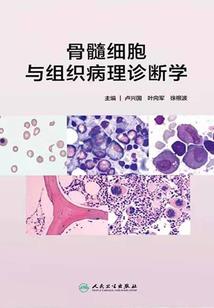 苍穹霸世