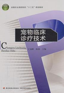 霸道总裁之丑女逆袭记