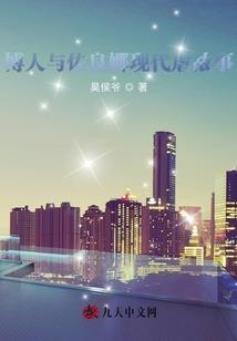 愿望实现师
