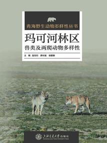 谁不爱我就揍谁