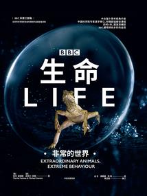 梦云心弦