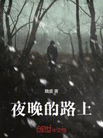 无人迷踪