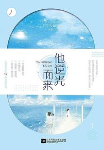 暴力流贤者