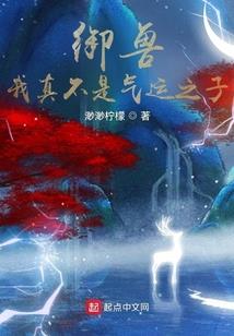 云盗仙踪