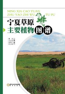 魂咒灵魄