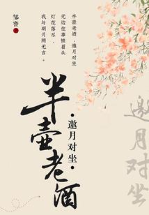 某疾风的剑神传