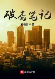 像风一样坚强