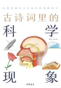 崩坏的仙界