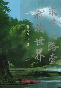 进击二次元的张大校