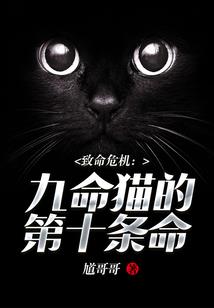 在地下城寻找悠闲生活有错吗