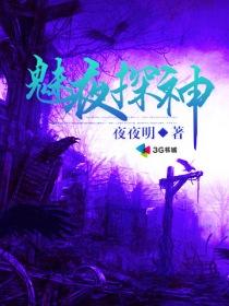 蛮丫头追暖男