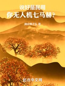 无限之飞升之旅