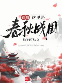 淑女刺客